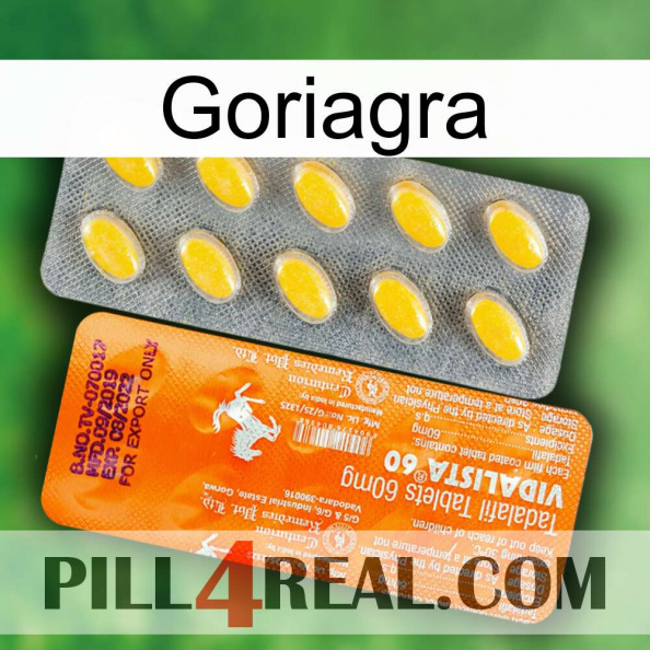 Goriagra new05.jpg